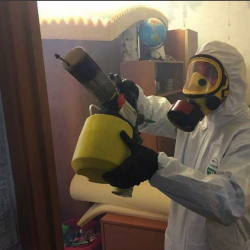 Уничтожение клопов в квартире. Первомайск